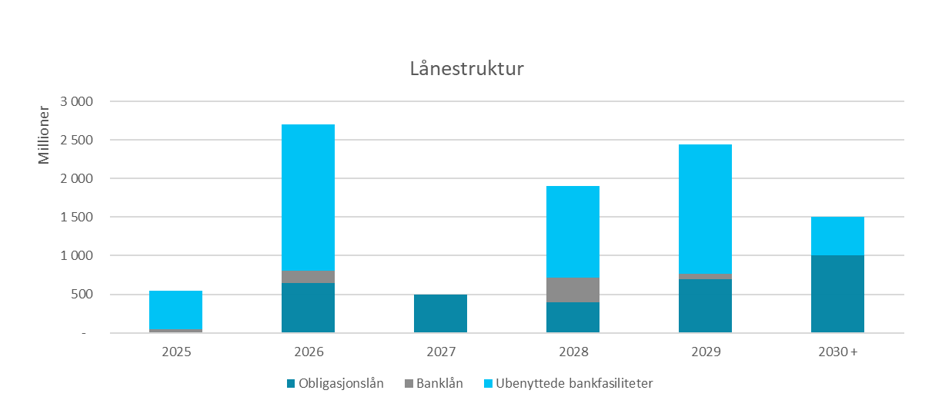 Lånestruktur 30.06.2025.png