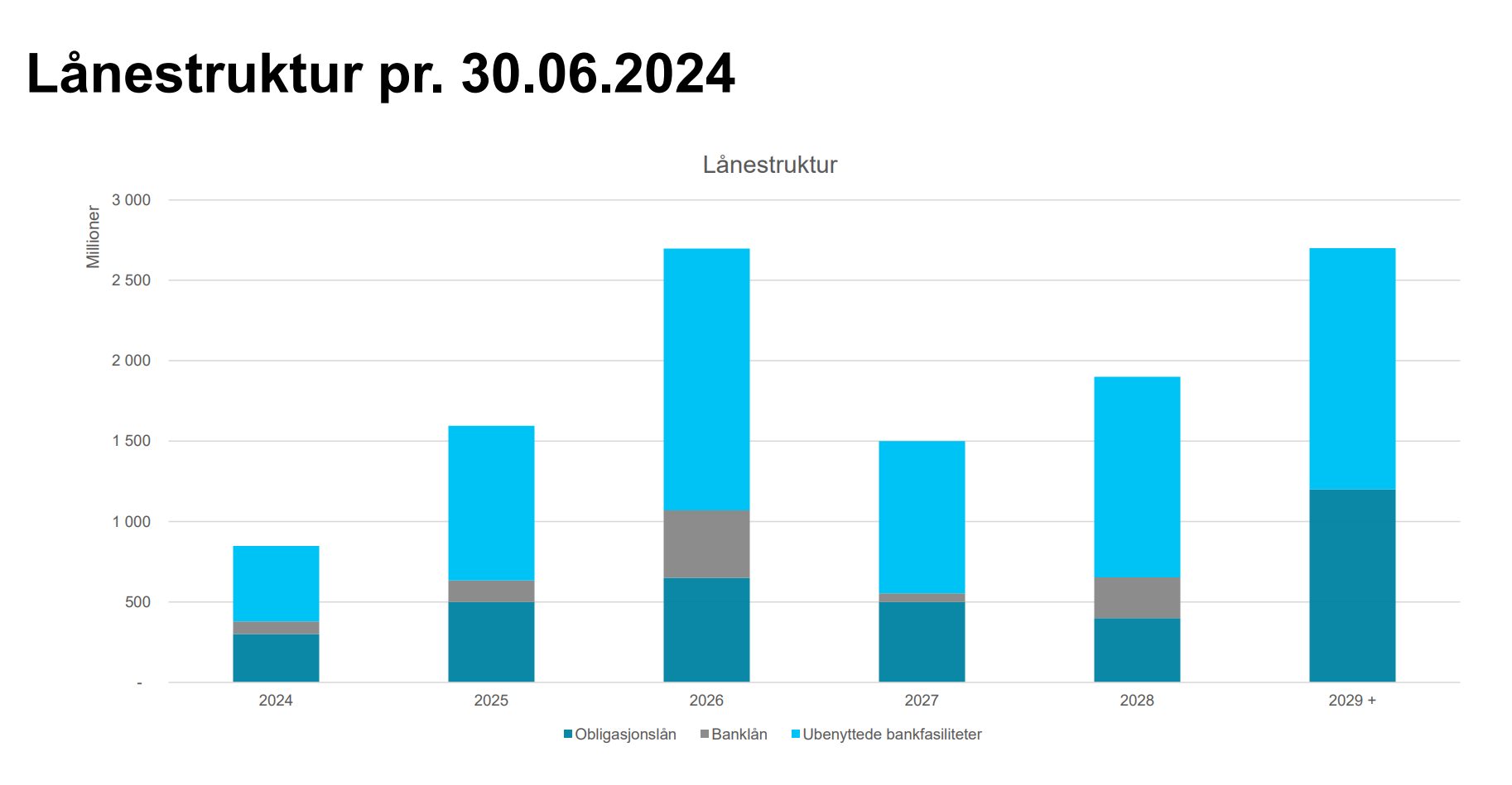 Lånestruktur 30.06.2024.PNG