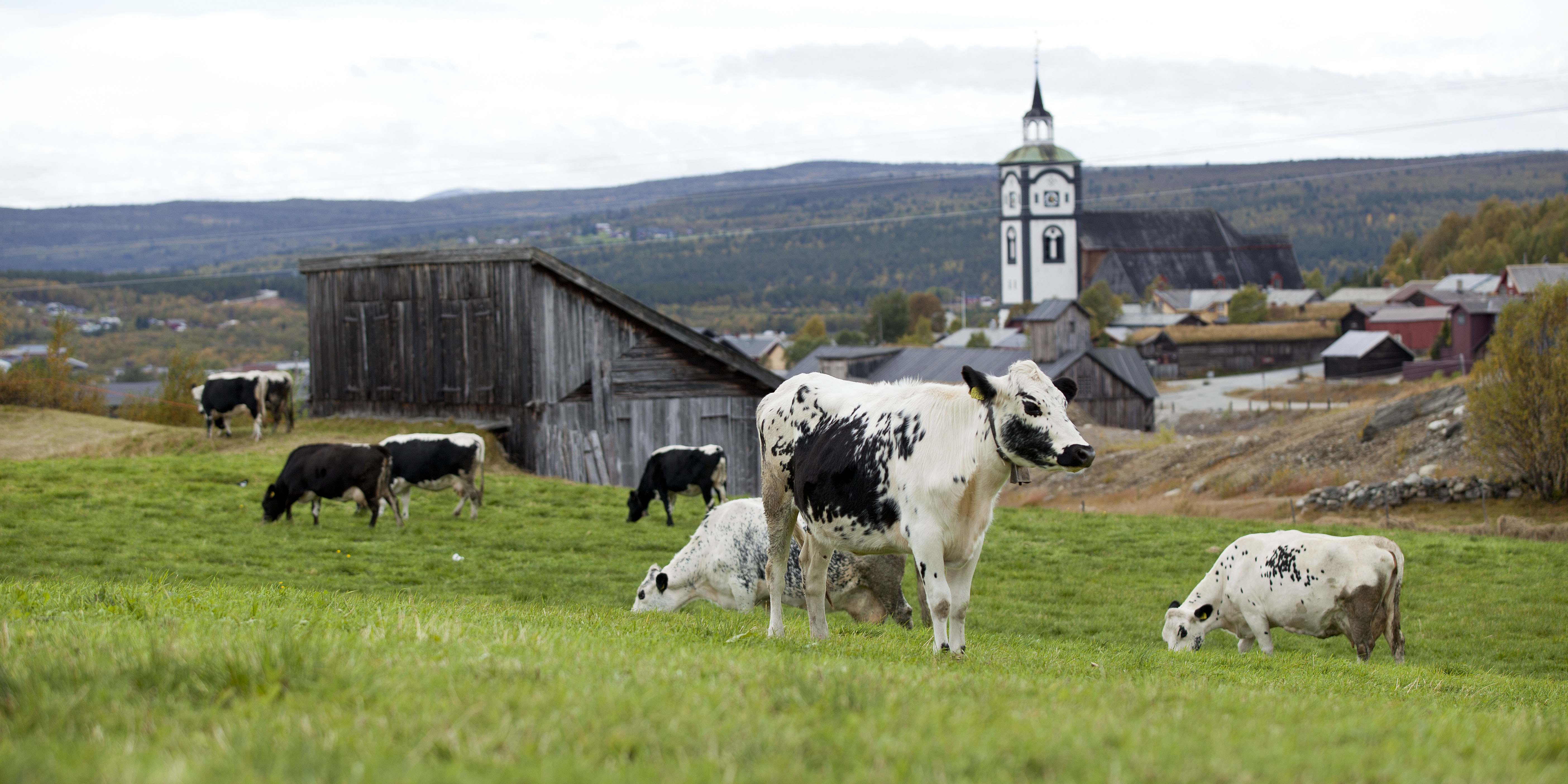 Samarbeid smaker godt
